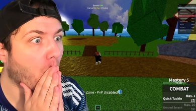 Personnage débutant dans Blox Fruits reprenant sa progression avec le Fruit Notifier