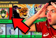 Illustration du mystérieux nouveau fruit mythique teasé dans Blox Fruits aux côtés du rework Dragon